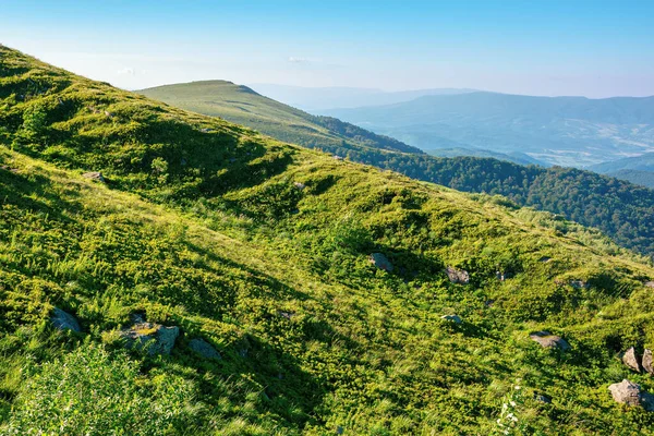 Horská Krajina Létě Travnaté Kopce Ranním Světle Krásná Příroda Karpat — Stock fotografie