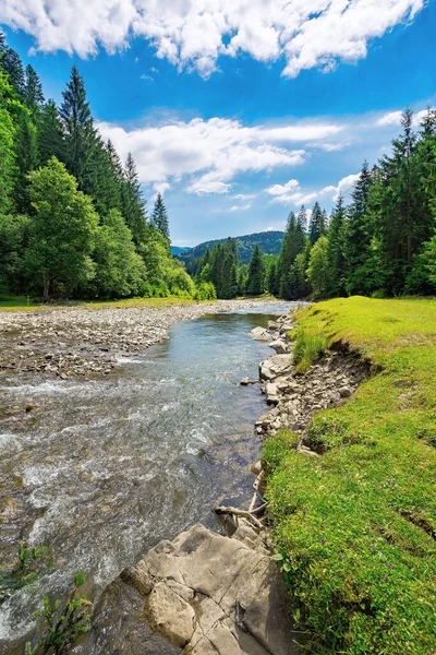 Letní Krajina Horskou Řekou Voda Teče Údolím Mezi Travnatým Pobřežím — Stock fotografie