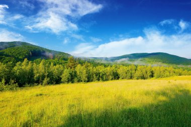 Öğleden sonra çimenli çayırda bir orman. Yazın güzel kırsal alan. Sis, ağaçların tepelerindeki uzak dağlardan yayılıyor. Bulutlarla kaplı harika bir gökyüzünün altında.