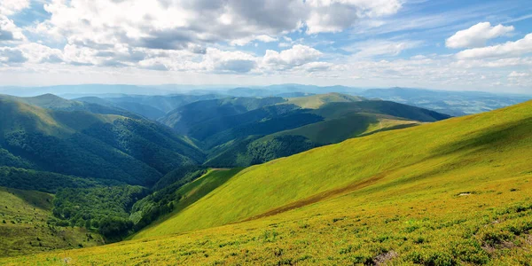 Colinas Gramadas Prados Cume Montanha Borzhava Bela Paisagem Verão Dia — Fotografia de Stock