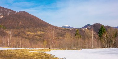 Karla kaplı çayırdaki orman. Güneşli bir günde, kar kaplı tepe noktasıyla güzel dağ manzarası.