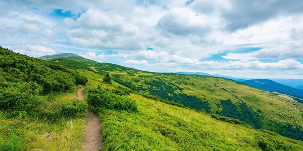 登山道は遠くの山頂にある高山草原 夏の美しい山の風景 空の雲 田舎の概念を — ストック写真