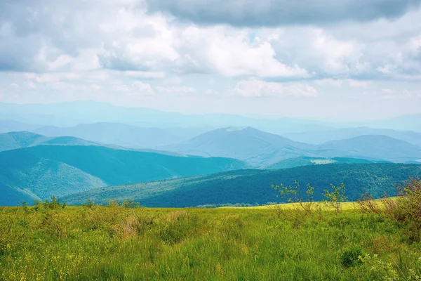 Travnatá Alpská Louka Okraji Kopce Krásná Letní Krajina Horách Mraky — Stock fotografie