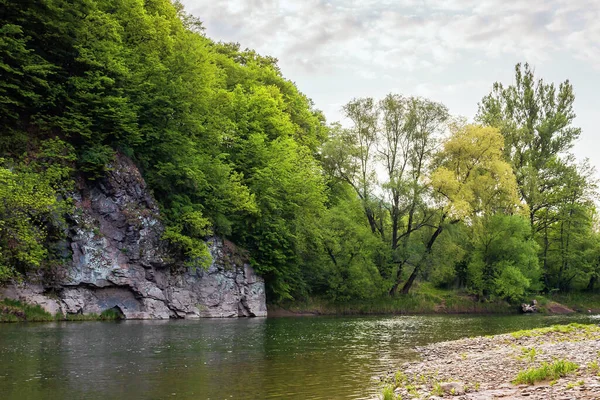 岩の下を流れる川 春の美しい自然景観 海岸の落葉樹は — ストック写真