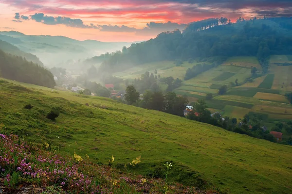 Tal Einem Nebligen Morgen Dorf Der Ferne Gras Und Blumen — Stockfoto