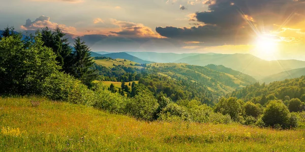 Landschap Zomer Bij Zonsondergang Prachtige Natuur Landschap Met Weiden Heuvels — Stockfoto