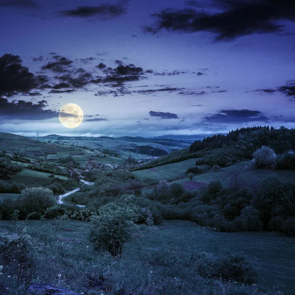 Campo Dos Cárpatos Primavera Noite Bela Paisagem Rural Montanha Prado — Fotografia de Stock