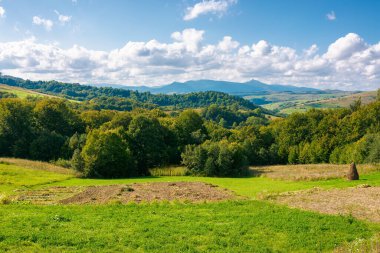 Sonbaharda dağlık kırsal alan. Tepelerdeki ağaçlar. Uzakta vadi olan kırsal bir manzara. Akşam ışığında tepenin üstündeki bulutlar. güzel doğa arkaplanı