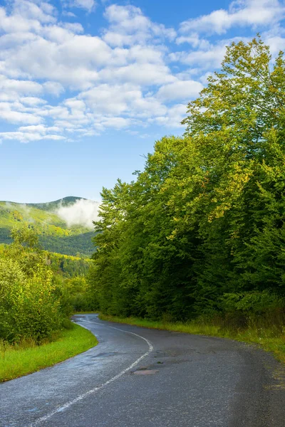 Country Road Forest Mountains Beautiful Fresh Morning Early Autumn Path — Stock Photo, Image