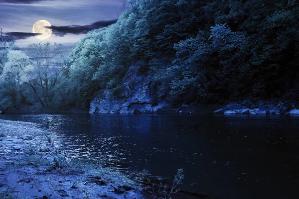 Rzeka Płynie Nocą Pod Skałą Piękny Krajobraz Natury Wiosną Drzewa — Zdjęcie stockowe