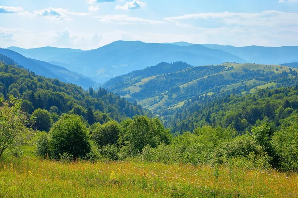 Krajina Létě Krásná Přírodní Scenérie Loukami Kopcích Valících Vzdáleného Údolí — Stock fotografie