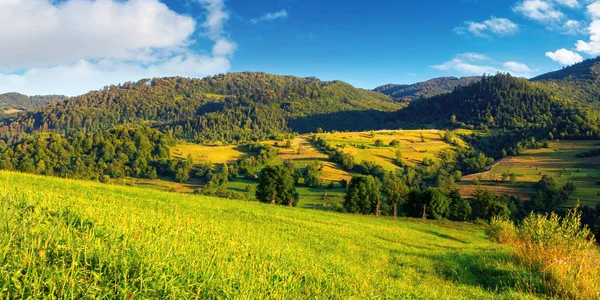 Сельские Поля Утреннем Свете Прекрасный Горный Пейзаж Травянистыми Холмами Летом — стоковое фото