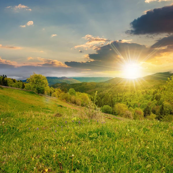日没の春の田園風景 緑の谷を抜ける丘の上の草や木は夕方の光で曇った空の下の遠くの尾根に — ストック写真