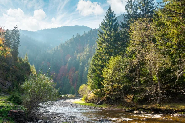 Landschaft Mit Gebirgsfluss Naturlandschaft Mit Fichten Auf Den Hügeln Einem — Stockfoto