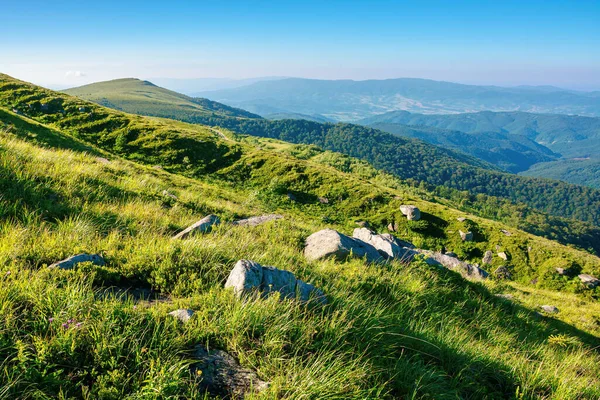 Bergslandskap Sommaren Gräsbevuxna Kullar Morgonljuset Vacker Natur Karpaterna — Stockfoto