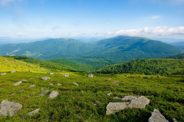 Yaz dağı manzarası. Yamaçtaki çayır taşları. Aydınlık bir yaz gününde uzak vadinin güzel manzarası. Karpat dağlarının muhteşem doğası, Ukrayna