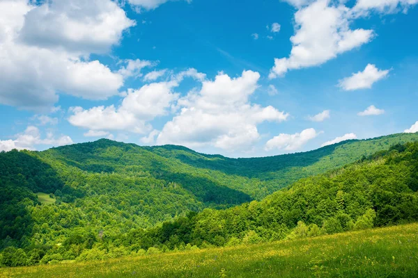 Krajobraz Wiejski Polami Pastwiskami Wzgórzu Piękne Krajobrazy Wiejskie Górach Słoneczna — Zdjęcie stockowe