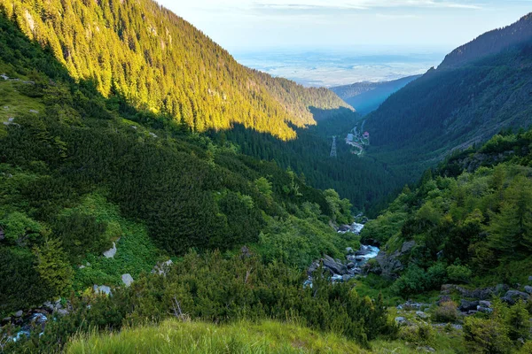 Ruisseau Balea Alpin Dans Les Montagnes Eau Coule Parmi Les — Photo