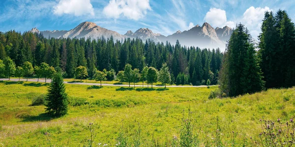 Sammansatt Bergslandskap Sommaren Granskog Nere Dalen Höga Toppar Stenig Tatraås — Stockfoto