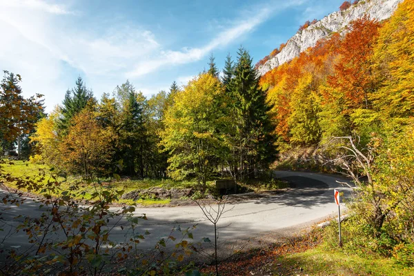 公路蜿蜒穿过山水 秋天阳光灿烂的自然景观 Pietrele Negre Apuseni Natural Park Bihor Country Romania — 图库照片