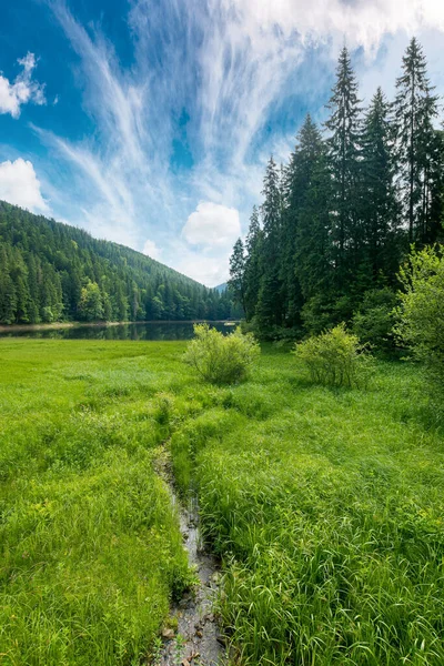 湖と山の夏の風景 シネビル国立公園ウクライナの美しい自然景観 空に雲がある晴天 人気の旅行先 — ストック写真