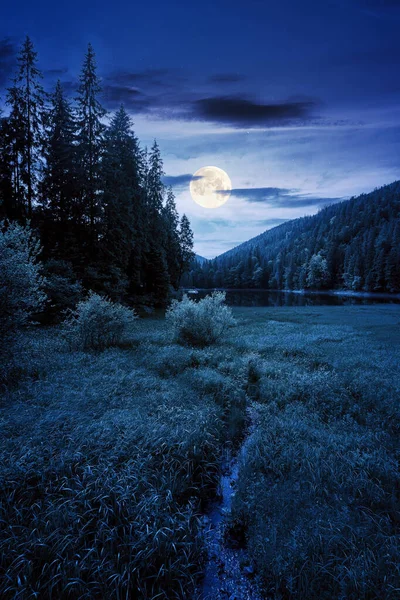 Paisaje Verano Montaña Con Lago Por Noche Hermoso Paisaje Natural — Foto de Stock