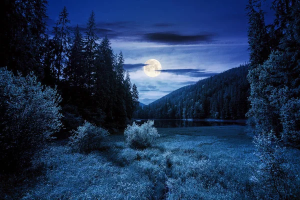 Горный Летний Пейзаж Озером Ночью Красивый Природный Пейзаж Синевирского Национального — стоковое фото