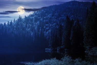 Geceleri dağ gölü manzarası. Dolunay ışığında suyun etrafını saran barışçıl yaz kozalaklı ormanı. Karanlık gökyüzünde bulutlu gizemli bir atmosfer.
