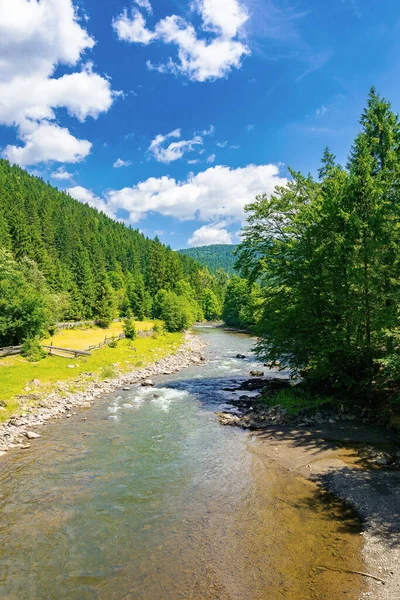Rzeka Dolinie Karpat Piękne Krajobrazy Wiejskie Pola Wiejskie Wybrzeżu Jasne — Zdjęcie stockowe