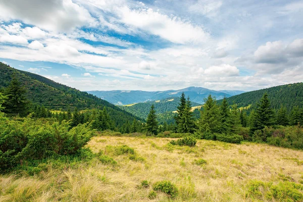 Mountainous Summer Landscape View Valley Trees Hill Cloudy Afternoon Sky — Stock Photo, Image