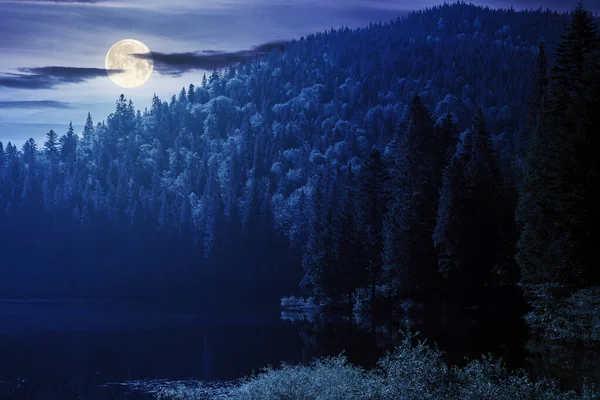 夜には山の湖と風景 満月の光で水の体の周りの平和的な夏の風景針葉樹林 暗い空に雲が浮かぶ不思議な雰囲気 — ストック写真