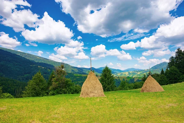 Bäuerliche Landschaft Mit Heuhaufen Auf Der Wiese Wunderbare Bergkulisse Einem — Stockfoto