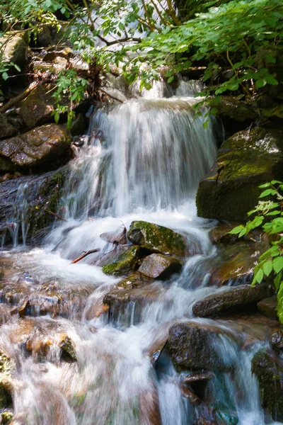 Arroyo Entre Las Piedras Del Bosque Agua Fluye Por Las —  Fotos de Stock