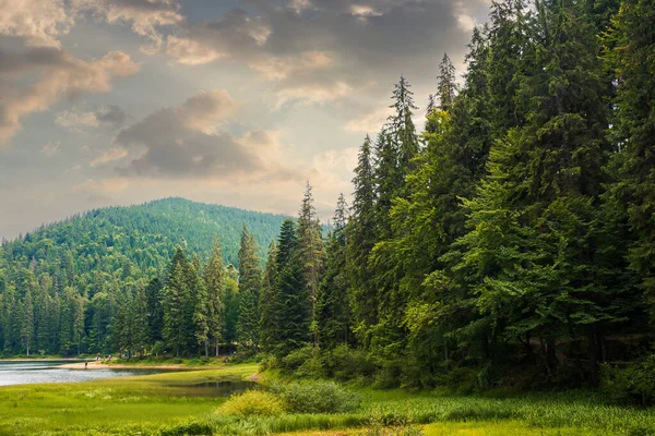喀尔巴阡山脉国家公园的Synevir湖 阳光灿烂的日子里美丽的夏日自然风景 通心粉的热门旅游目的地 乌克兰 天空中蓬松的云彩 — 图库照片