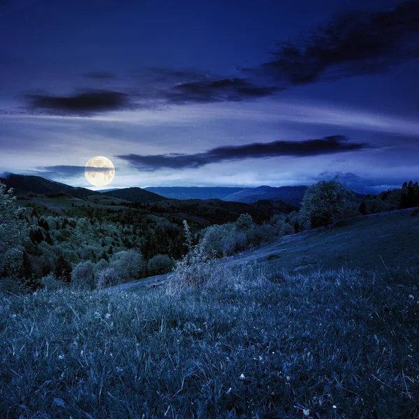 Paisagem Montanhosa Rural Primavera Noite Grama Árvores Colinas Rolando Através — Fotografia de Stock