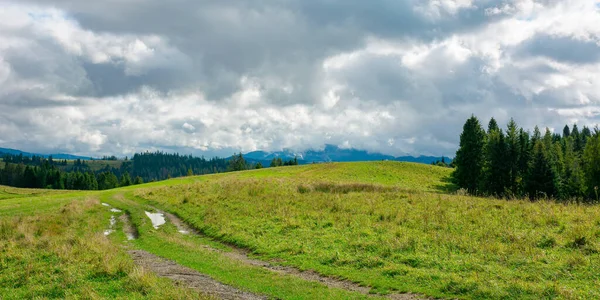 Bosque Prado Herboso Las Montañas Impresionante Paisaje Rural Principios Otoño — Foto de Stock