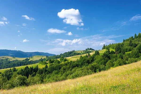 夏天的乡村风景 美丽的自然景观 山丘上的田野翻滚进入遥远的山谷 阳光灿烂 天空中乌云密布 — 图库照片