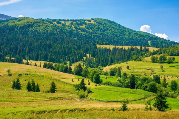 Ländliche Felder Bergiger Landschaft Bäume Auf Den Grünen Hügeln Sommerlandschaft — Stockfoto