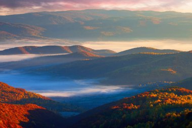 Gün doğumunda dağlarda sisli sonbahar manzarası. Ağaçlarda kırmızı ve sarı yapraklar. Vadide sisli hava