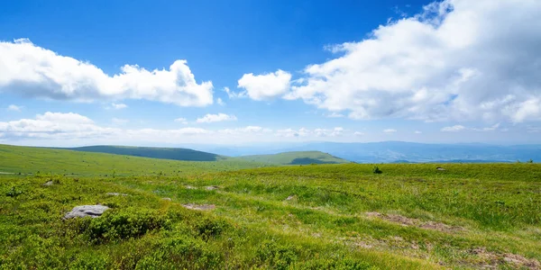 Weide Het Bergplateau Prachtig Zomers Landschap Een Zonnige Dag Wolken — Stockfoto