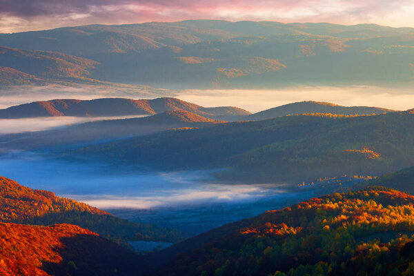 туманные осенние пейзажи в горах на восходе солнца. красная и желтая листва на деревьях. туманная погода в долине