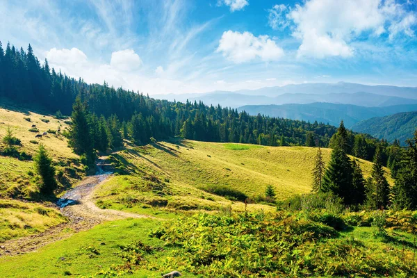 Soleado Paisaje Verano Las Montañas Los Cárpatos Bosque Prados Las — Foto de Stock