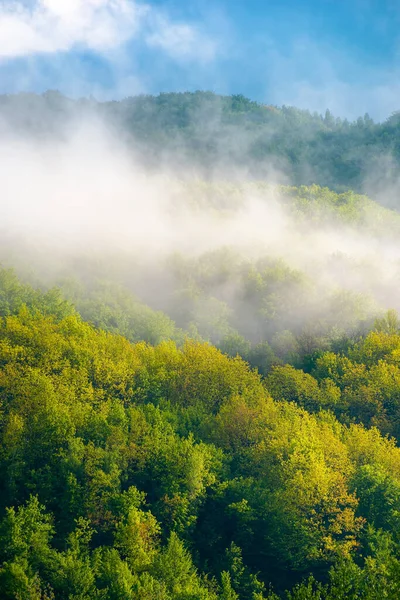 Paisaje Montaña Una Mañana Brumosa Hermoso Fondo Naturaleza Primavera Paisaje —  Fotos de Stock