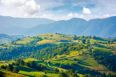 Dağlık kırsal alan. Kırsal alanlarda ağaçlarla kaplı tepe bulutlu parlak bir gökyüzünün altındaki uzak tepeye doğru yuvarlanıyor. Harika yaz manzarası Sabah ışığında