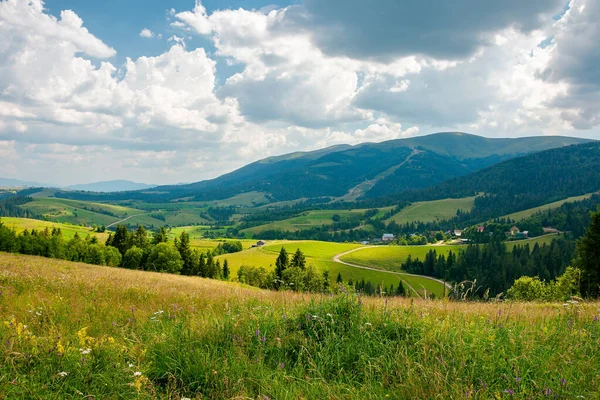 Paisaje Rural Montaña Los Cárpatos Verano Bosque Prado Herboso Campos — Foto de Stock