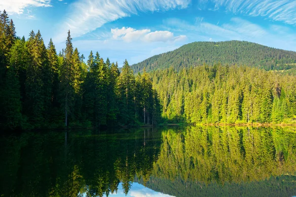 朝は山の湖だ 水の中に映る森の夏の風景 カルパチア山脈 ウクライナのSynevyr国立公園の自然景観 青空に雲が浮かぶ晴天 — ストック写真