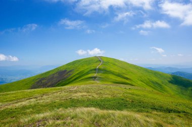 Borzhava dağ sırtındaki çimenli tepeler ve çayırlar. Öğlen vakti harika bir yaz manzarası. Mavi gökyüzünde yüksek bulutlar. Karpatların harika doğa manzarası.