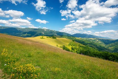 Dağlardaki çimenli çayırlar. Harika doğa manzarası. Güneşli bir yaz günü. Gökyüzündeki bulutlar