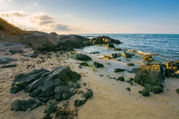 朝の海のビーチ 砂浜の岩が穏やかな水で洗い流されました 青空に浮かぶ雲はほとんどなく — ストック写真