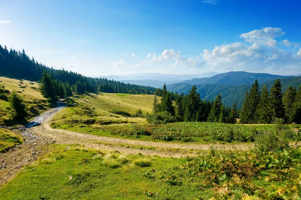 Estrada Rural Através Colinas Florestadas Prados Paisagem Montanha Verão Uma — Fotografia de Stock